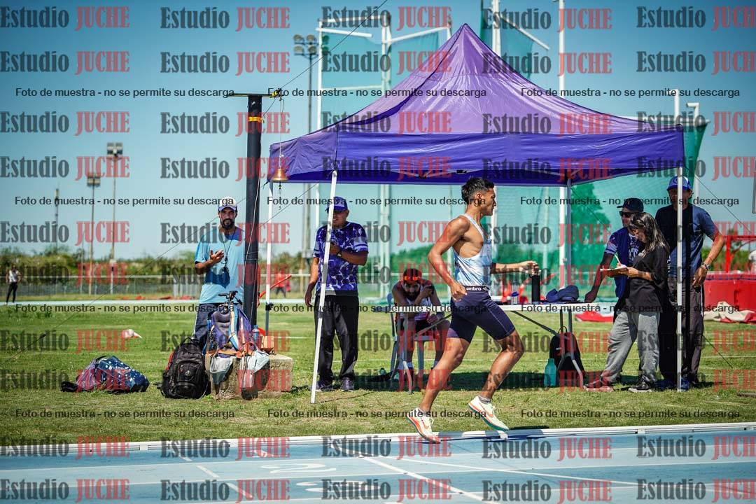 Fotos de los 800 m llanos de varones