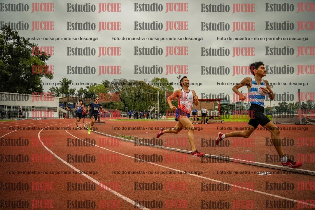 Fotos de los 800 m llanos de varones