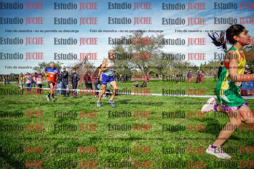 Fotos en el circuito