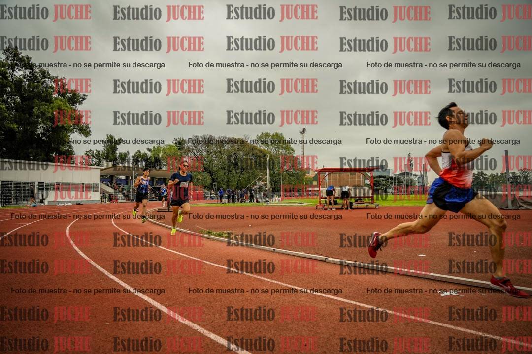 Fotos de los 800 m llanos de varones