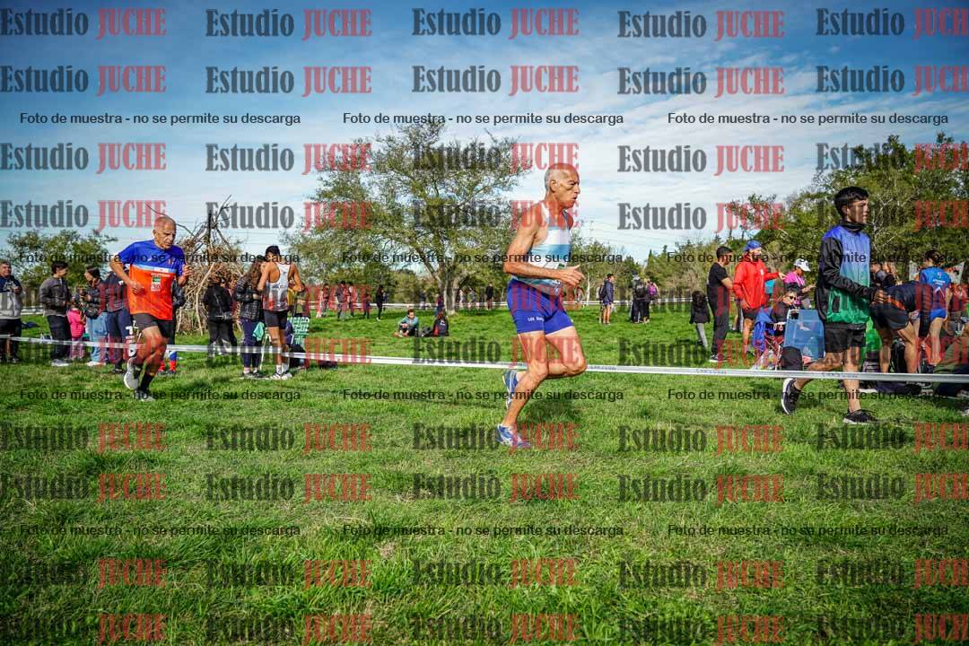 Fotos en el circuito
