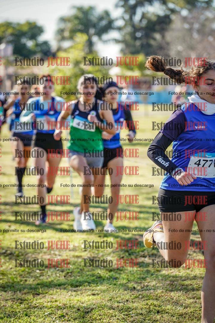 Fotos en el circuito