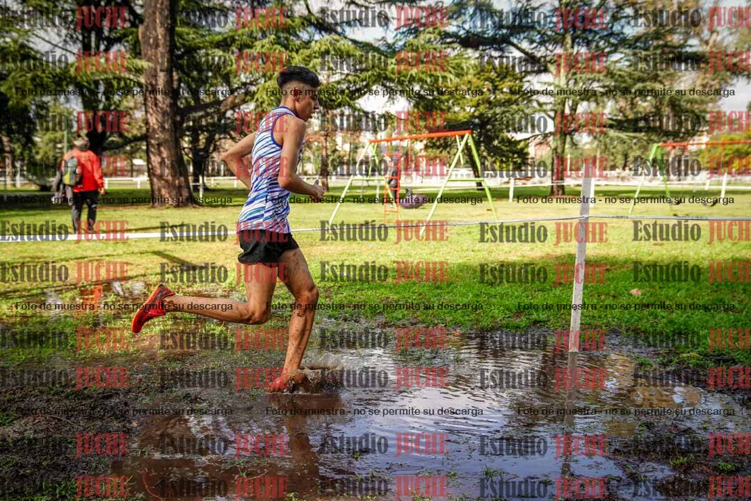 Fotos en el circuito