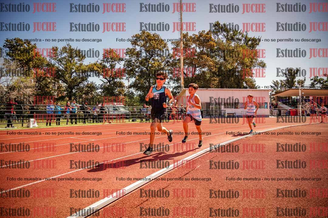 Fotos de los 600 m llanos de varones