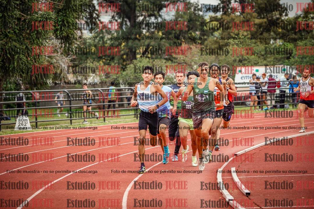 Fotos de los 800 m llanos de varones