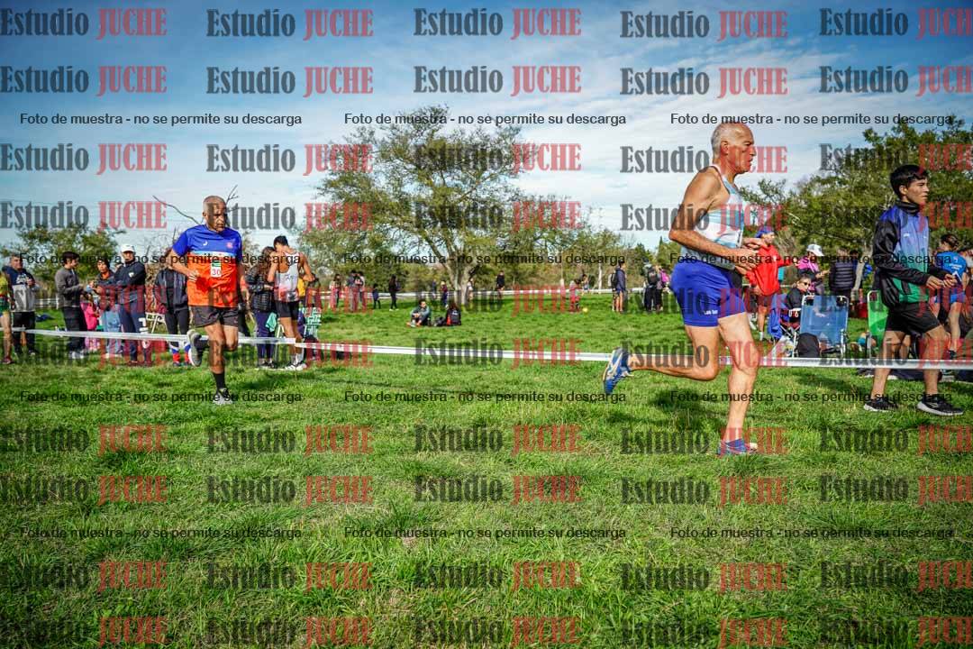 Fotos en el circuito
