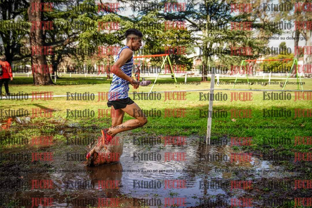 Fotos en el circuito