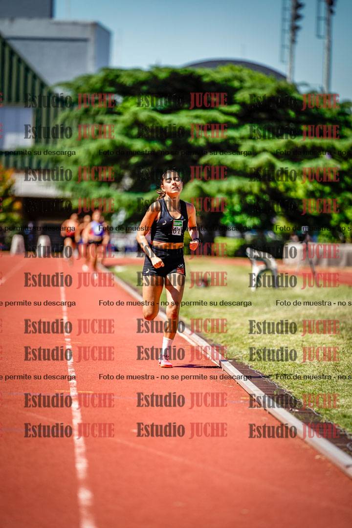 Fotos de los 800 m llanos de mujeres