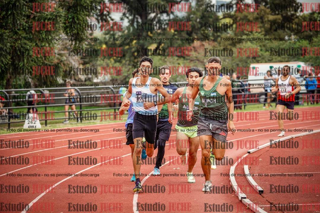 Fotos de los 800 m llanos de varones
