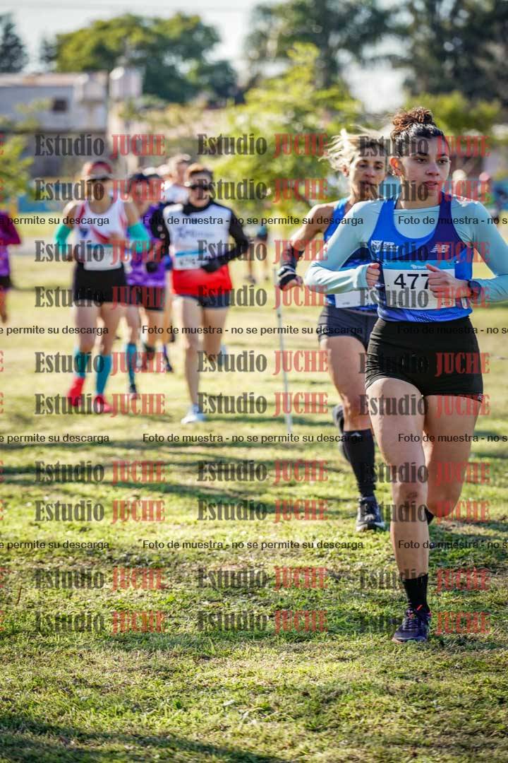 Fotos en el circuito