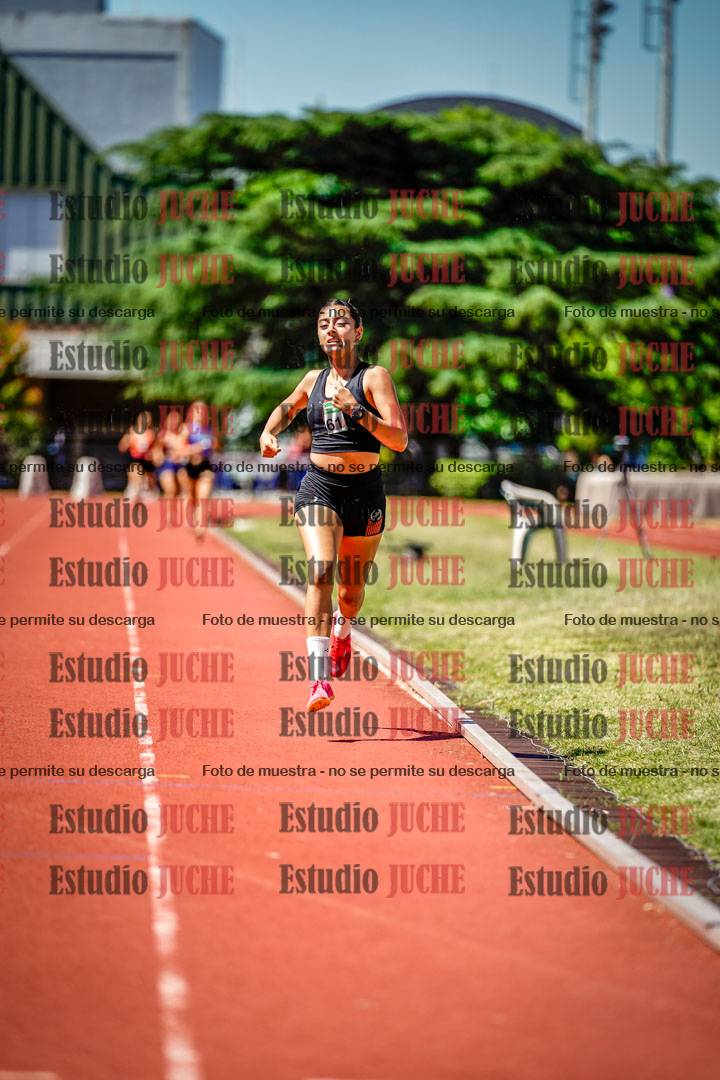 Fotos de los 800 m llanos de mujeres