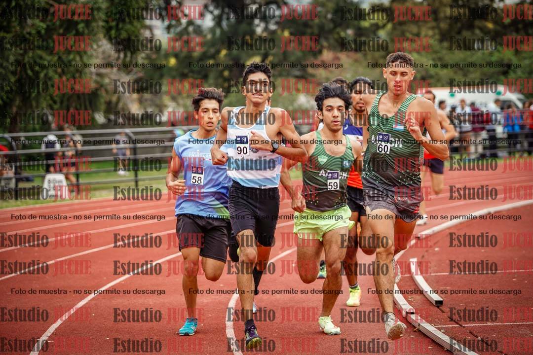 Fotos de los 800 m llanos de varones