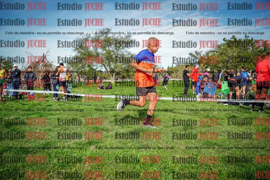 Fotos en el circuito