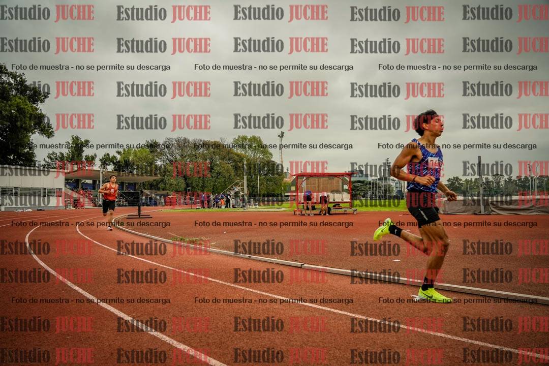 Fotos de los 800 m llanos de varones