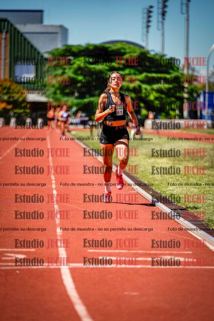 Fotos de los 800 m llanos de mujeres