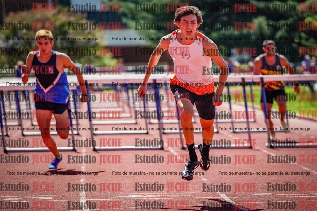 Fotos de los 110 m con vallas de varones