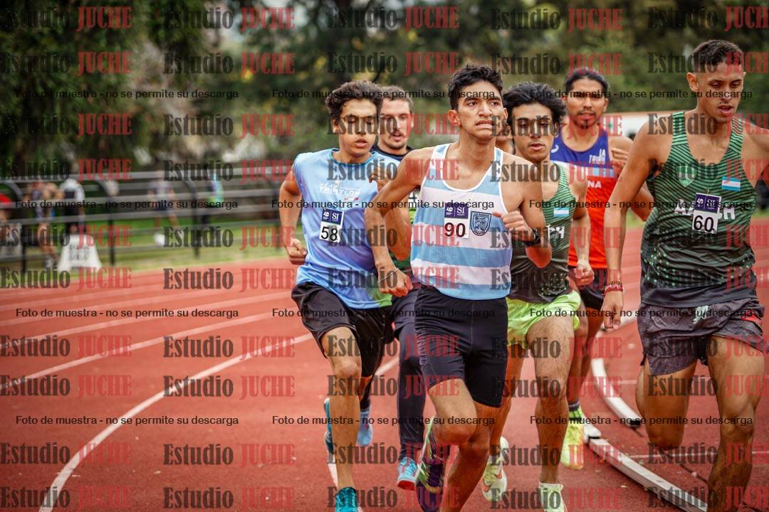 Fotos de los 800 m llanos de varones