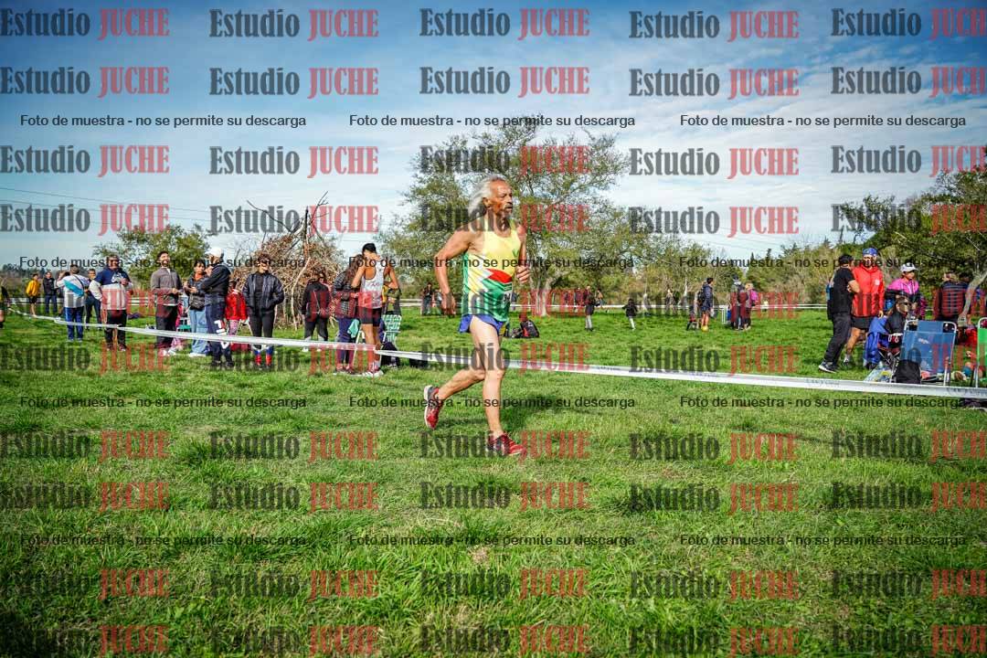 Fotos en el circuito