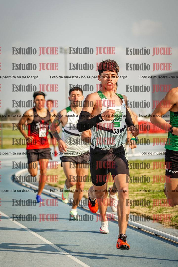 Fotos de los 3000 m llanos de varones