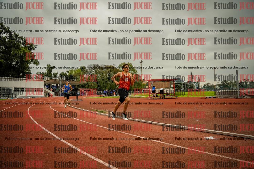 Fotos de los 800 m llanos de varones