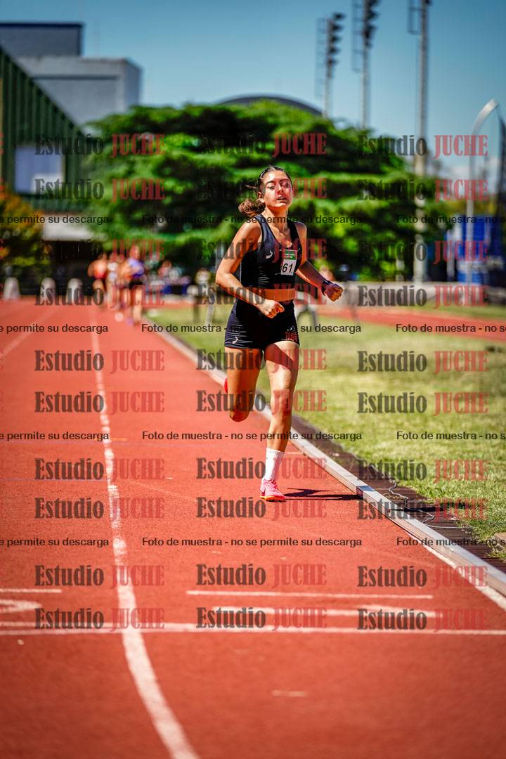 Fotos de los 800 m llanos de mujeres