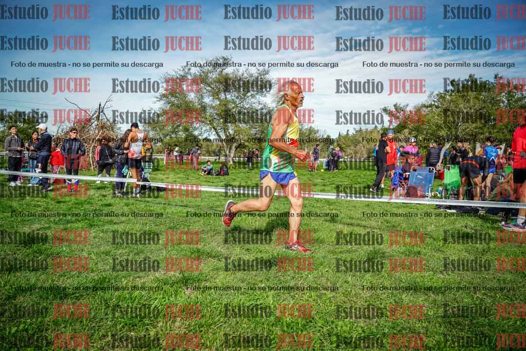 Fotos en el circuito