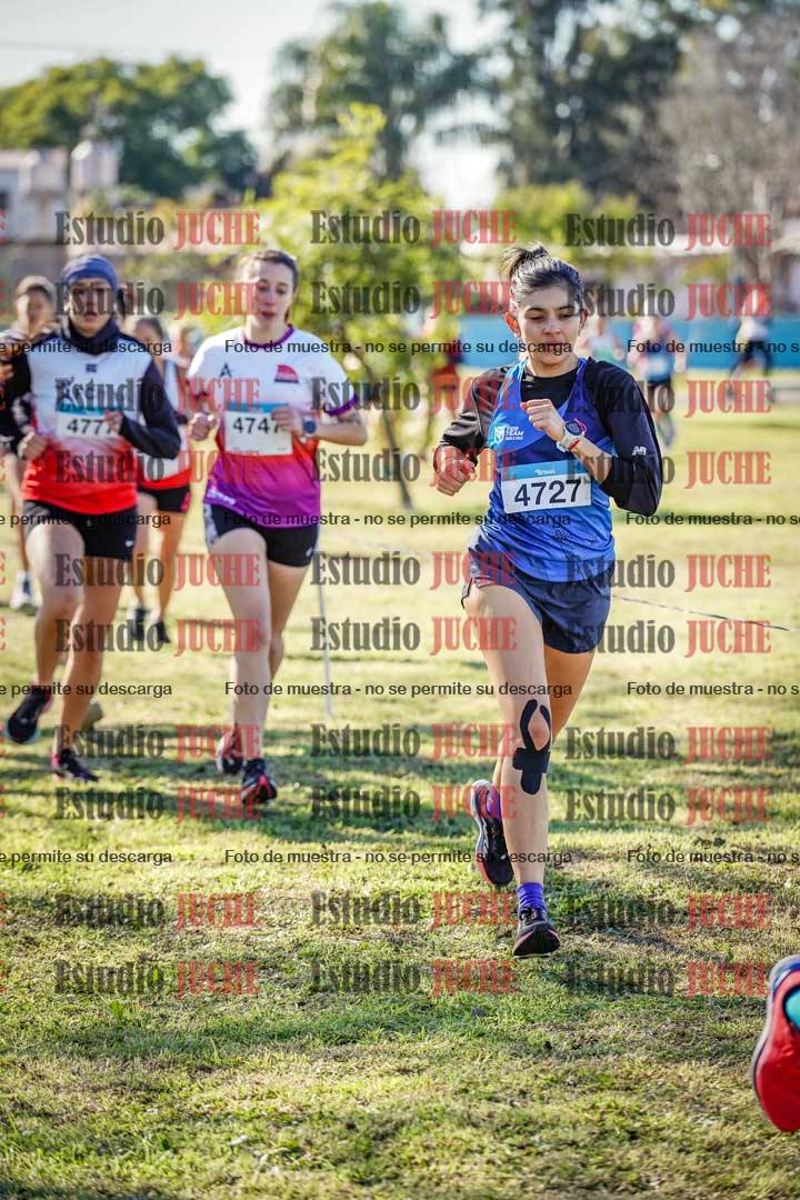 Fotos en el circuito