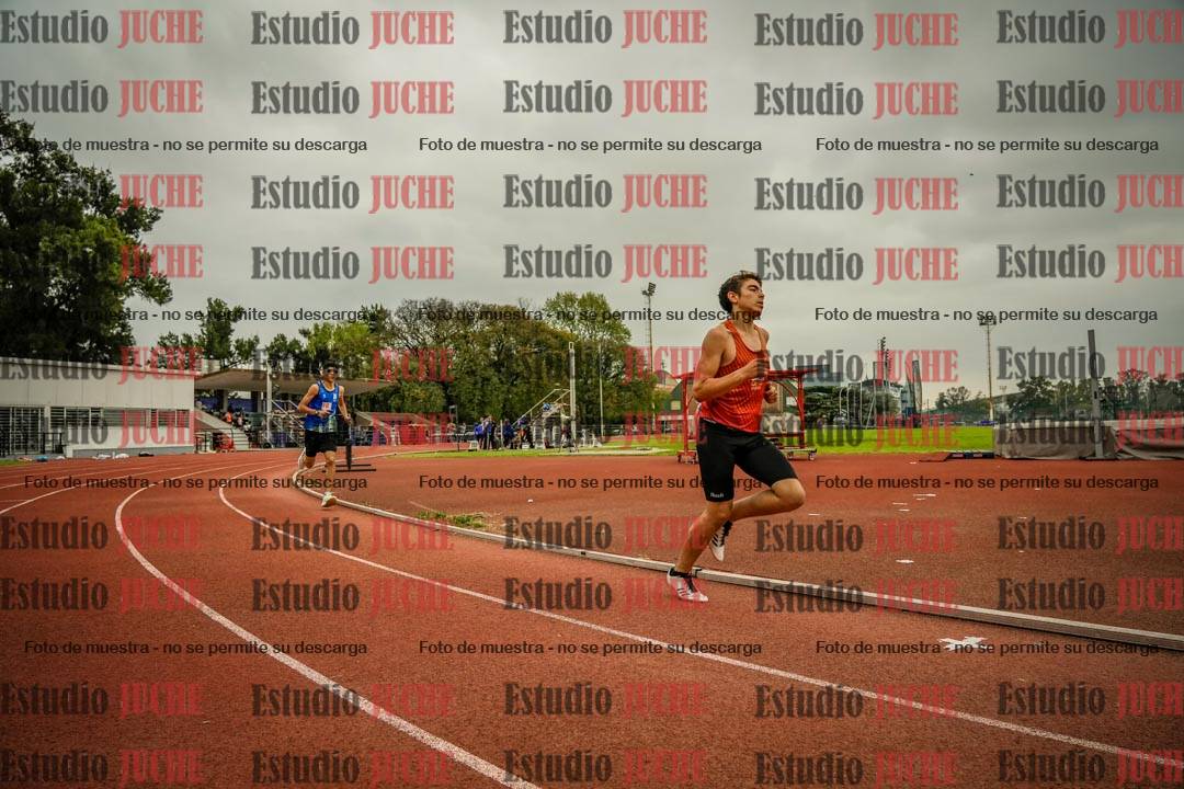Fotos de los 800 m llanos de varones
