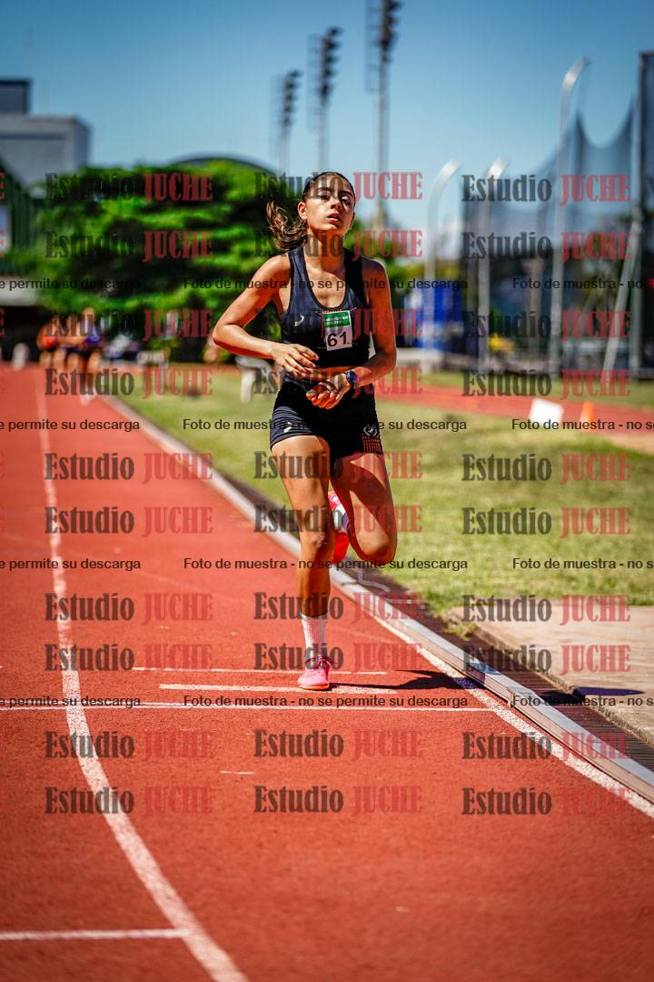 Fotos de los 800 m llanos de mujeres