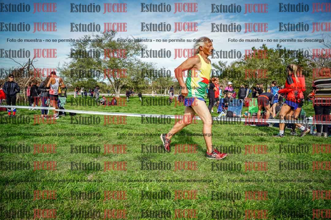 Fotos en el circuito