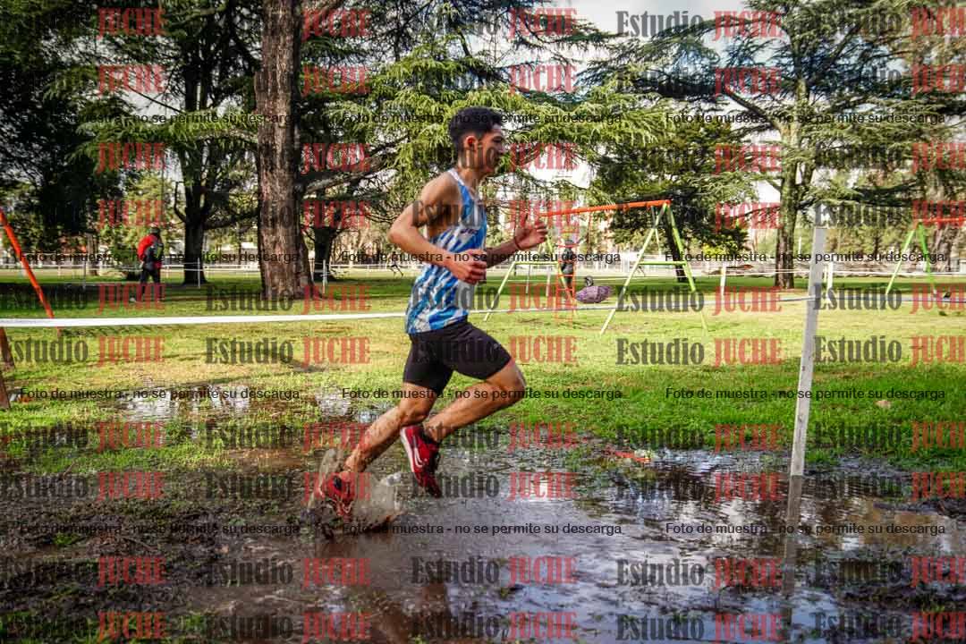 Fotos en el circuito