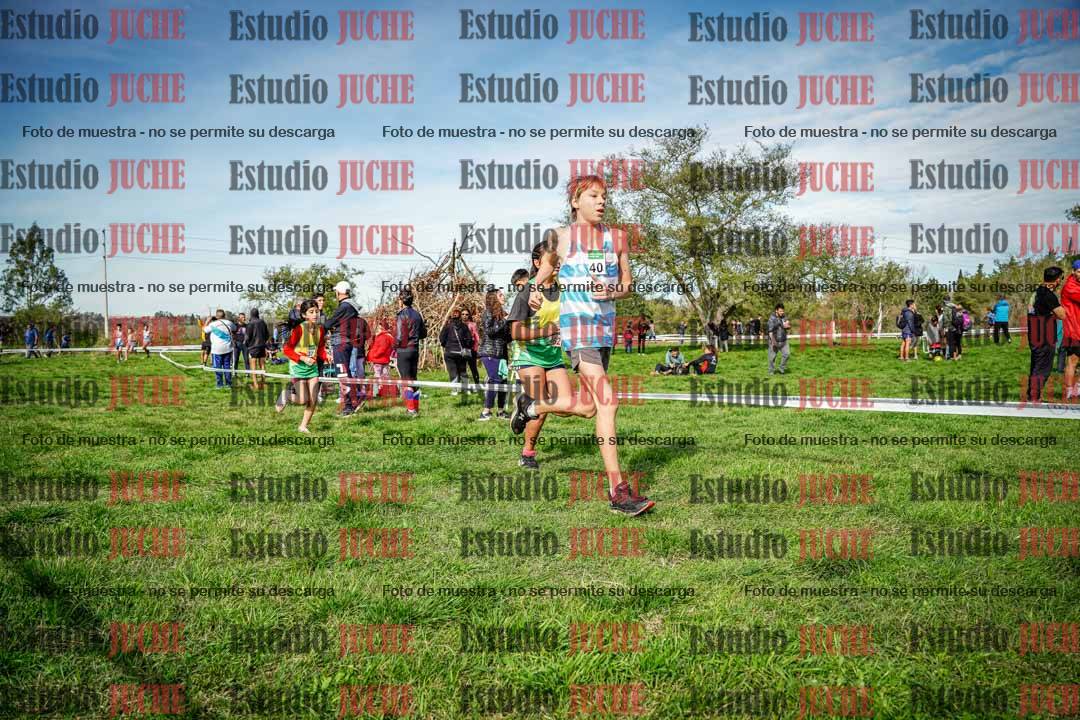 Fotos en el circuito