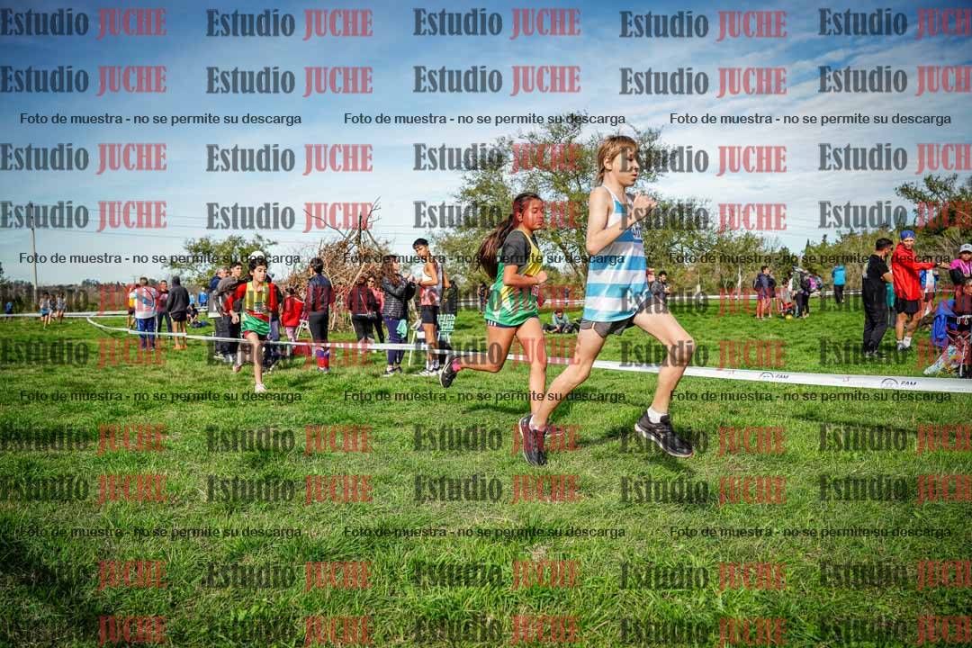Fotos en el circuito
