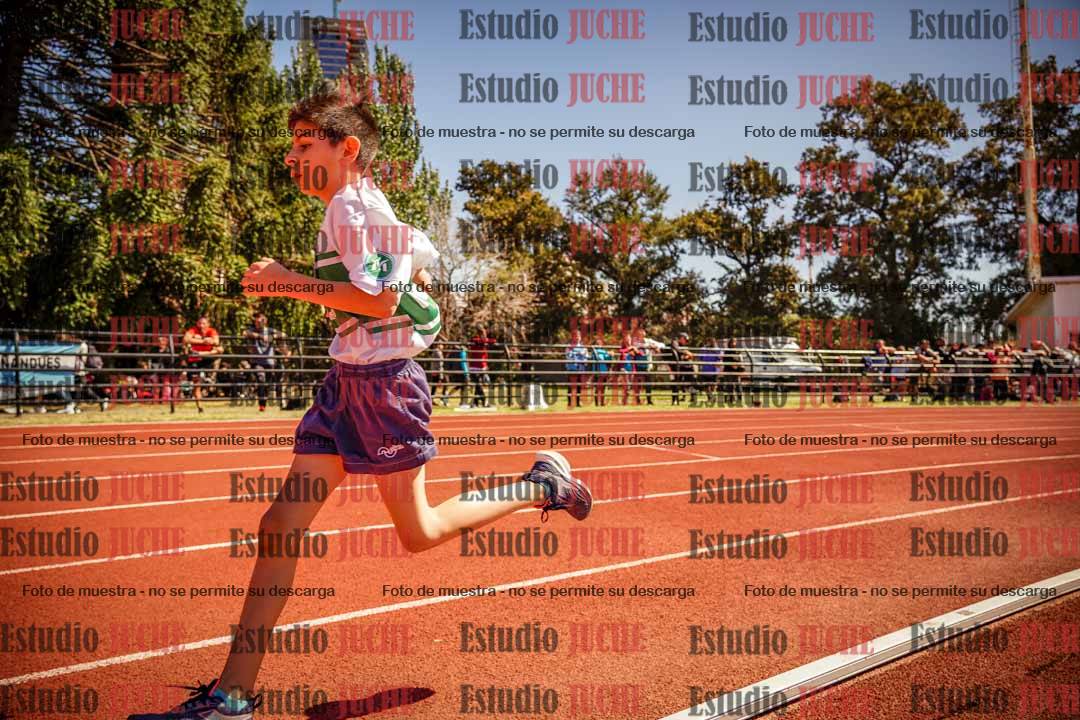 Fotos de los 600 m llanos de varones