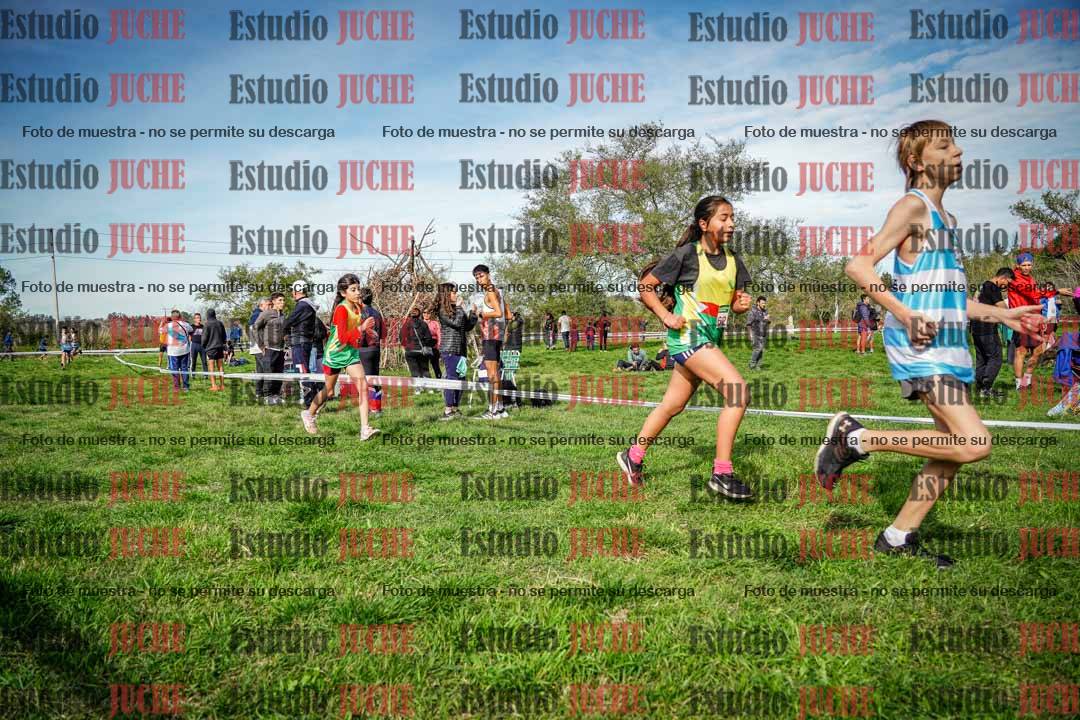 Fotos en el circuito