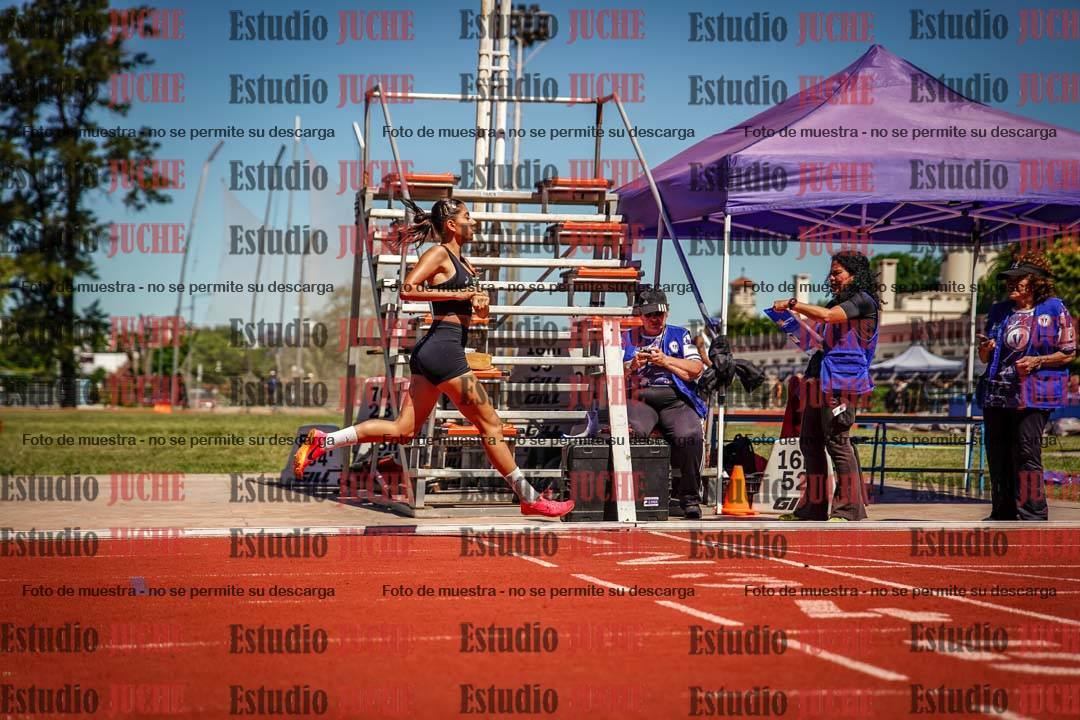 Fotos de los 800 m llanos de mujeres