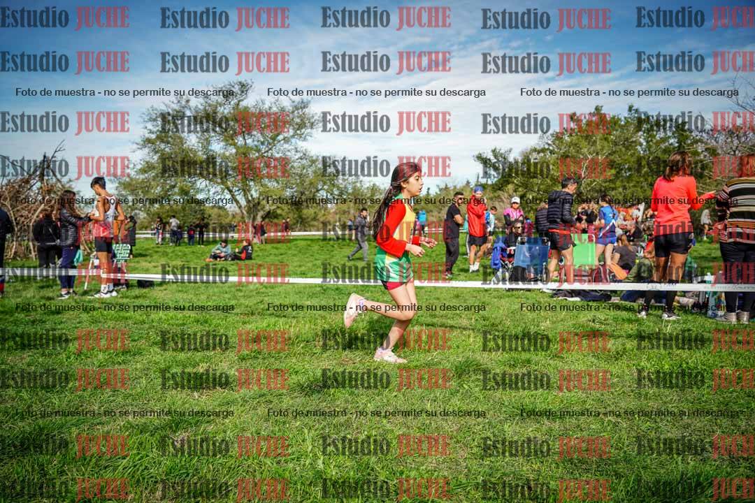 Fotos en el circuito