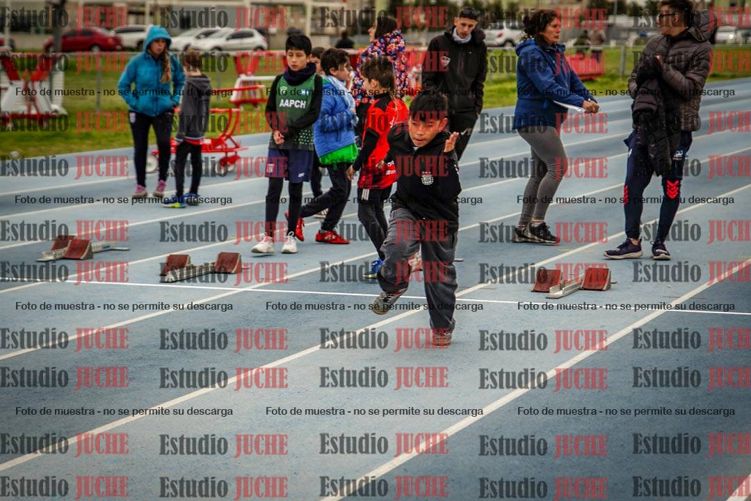 Fotos de los 50 m llanos de varones - U12