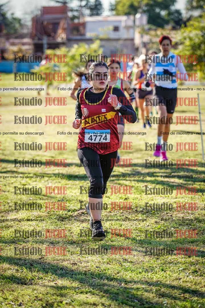 Fotos en el circuito
