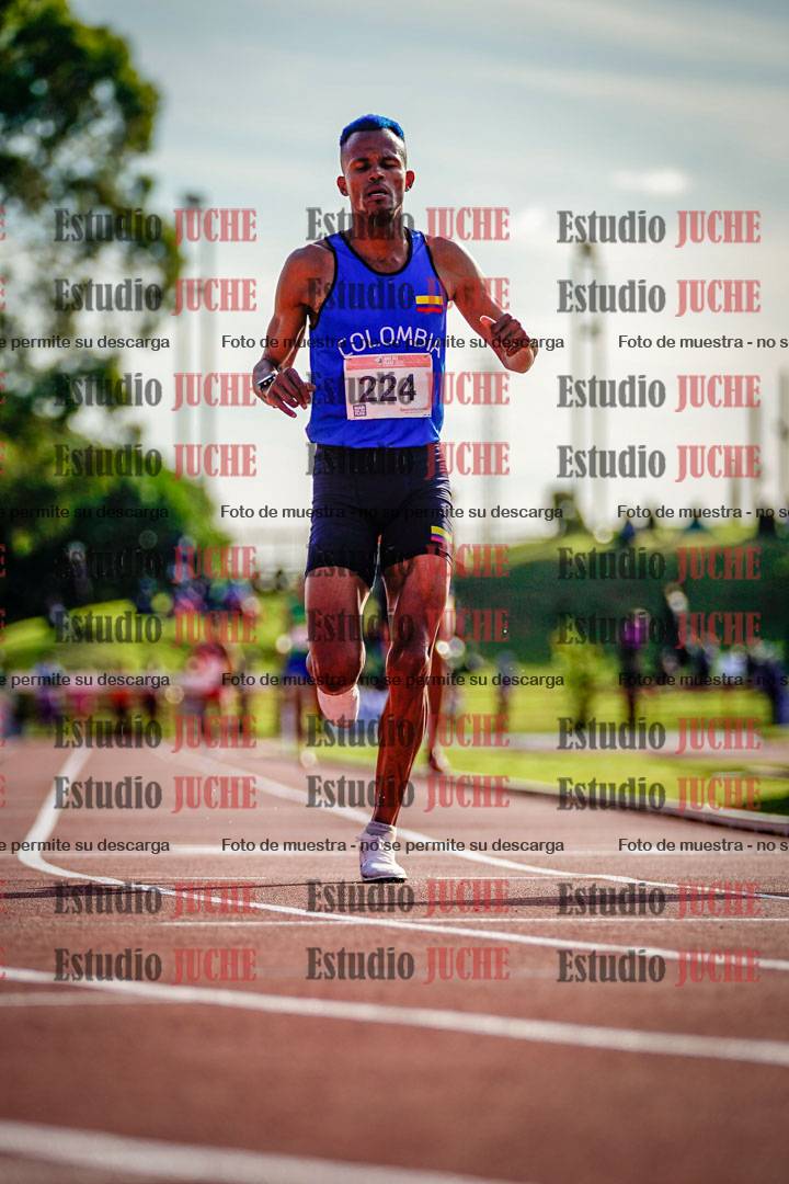 Fotos de los 3000 m con obstáculos de varones