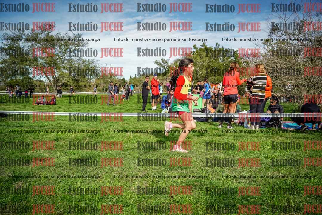 Fotos en el circuito
