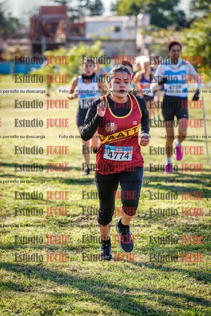 Fotos en el circuito