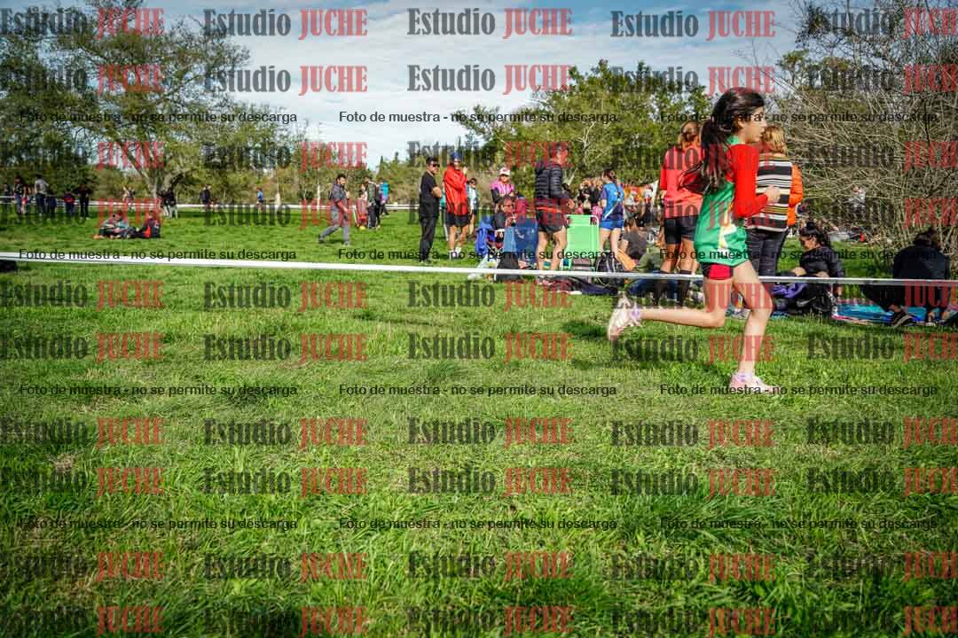 Fotos en el circuito