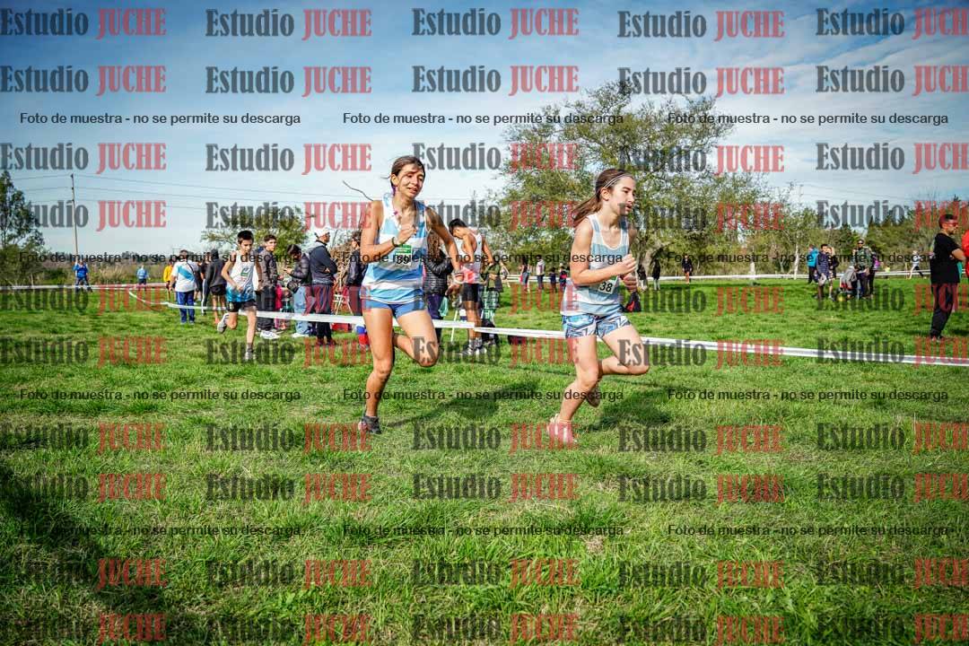 Fotos en el circuito