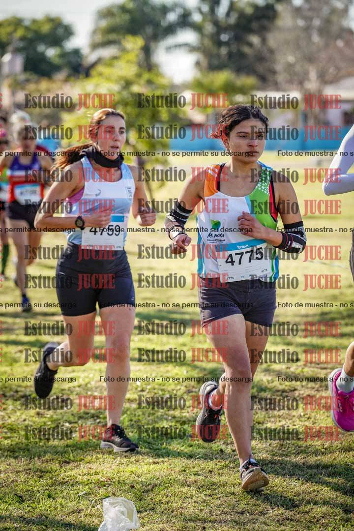 Fotos en el circuito
