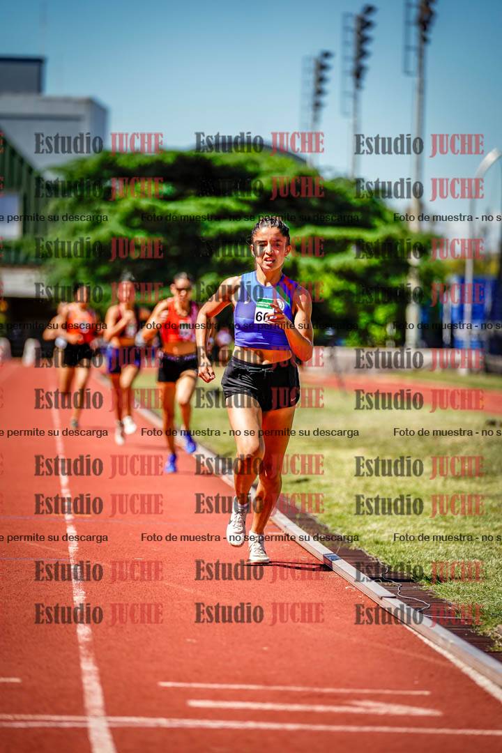 Fotos de los 800 m llanos de mujeres
