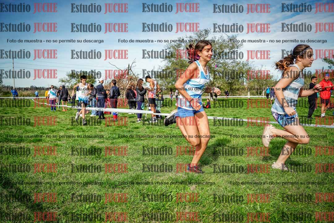 Fotos en el circuito
