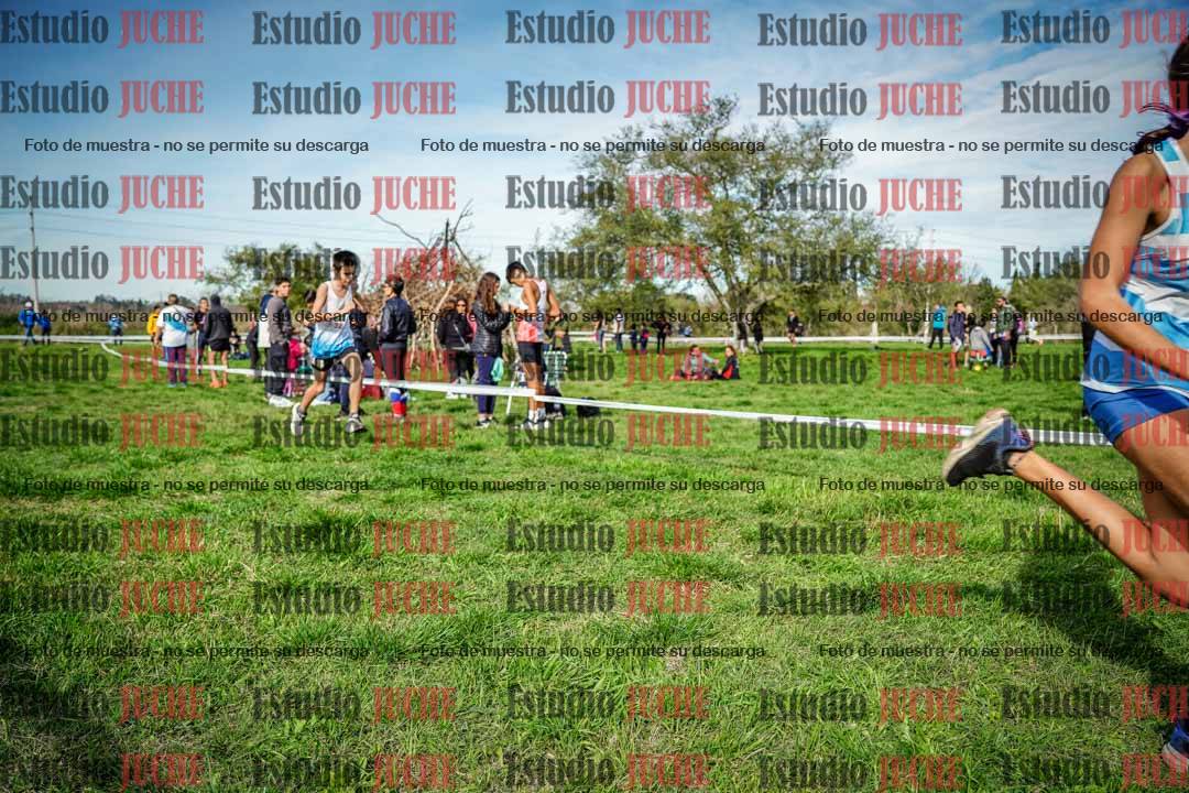 Fotos en el circuito
