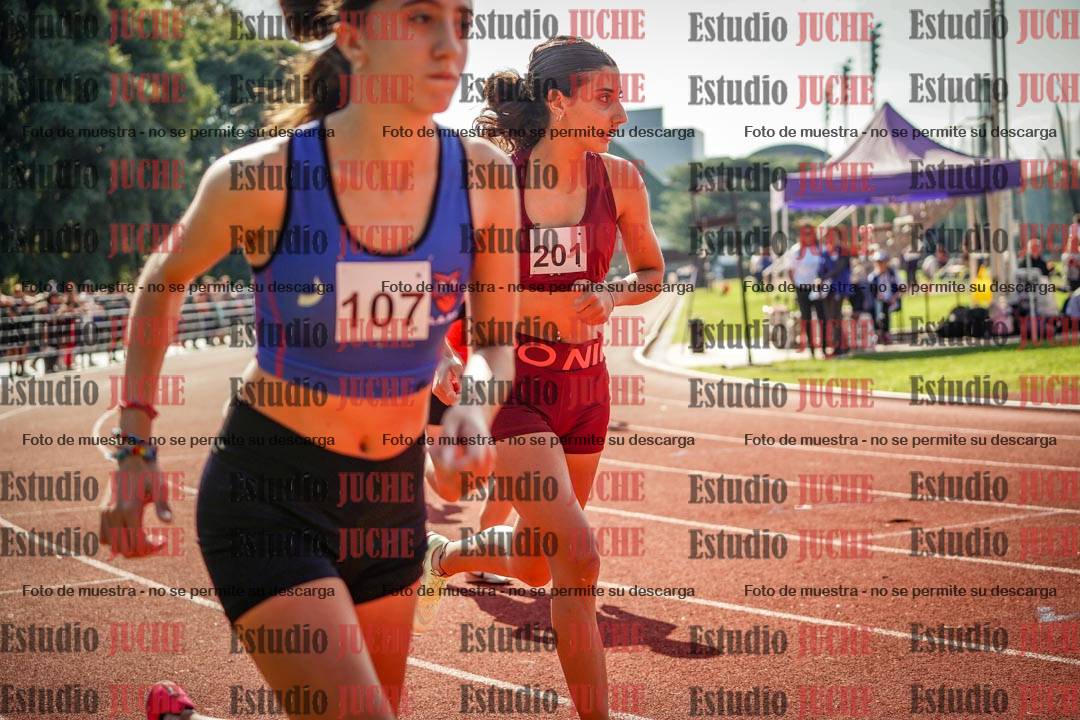 Fotos de los 800 m llanos de mujeres