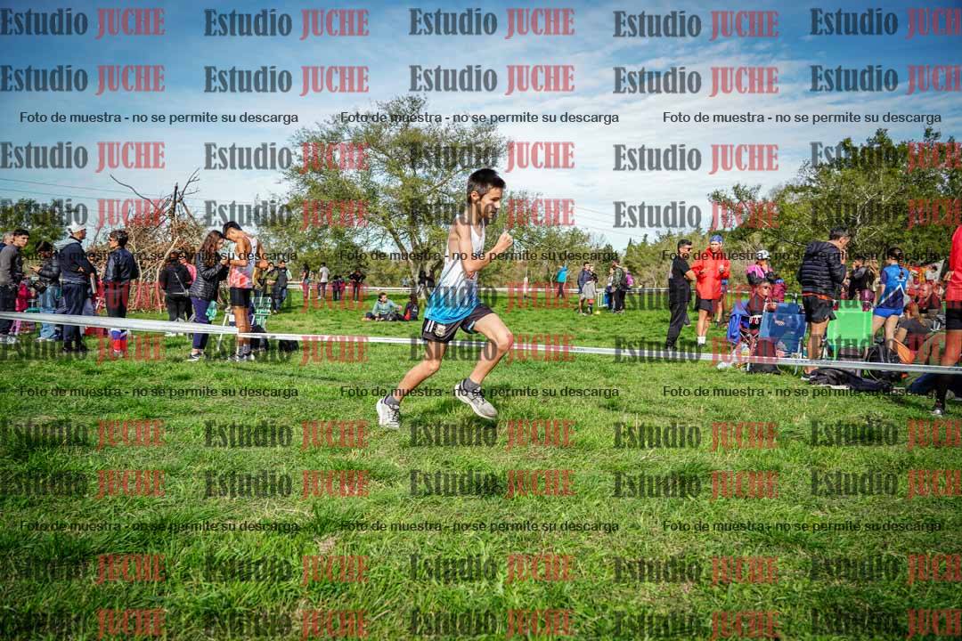 Fotos en el circuito